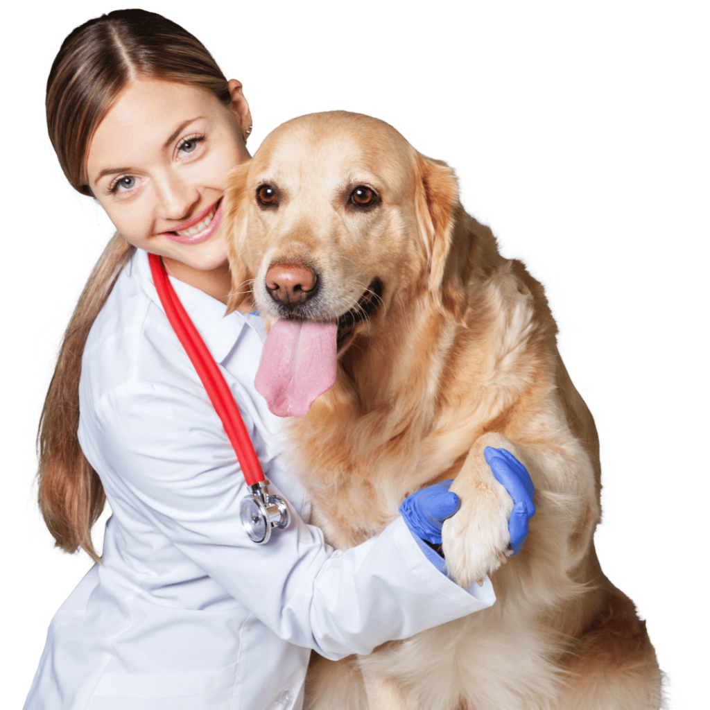 dyrlæge med en golden retriever der smiler