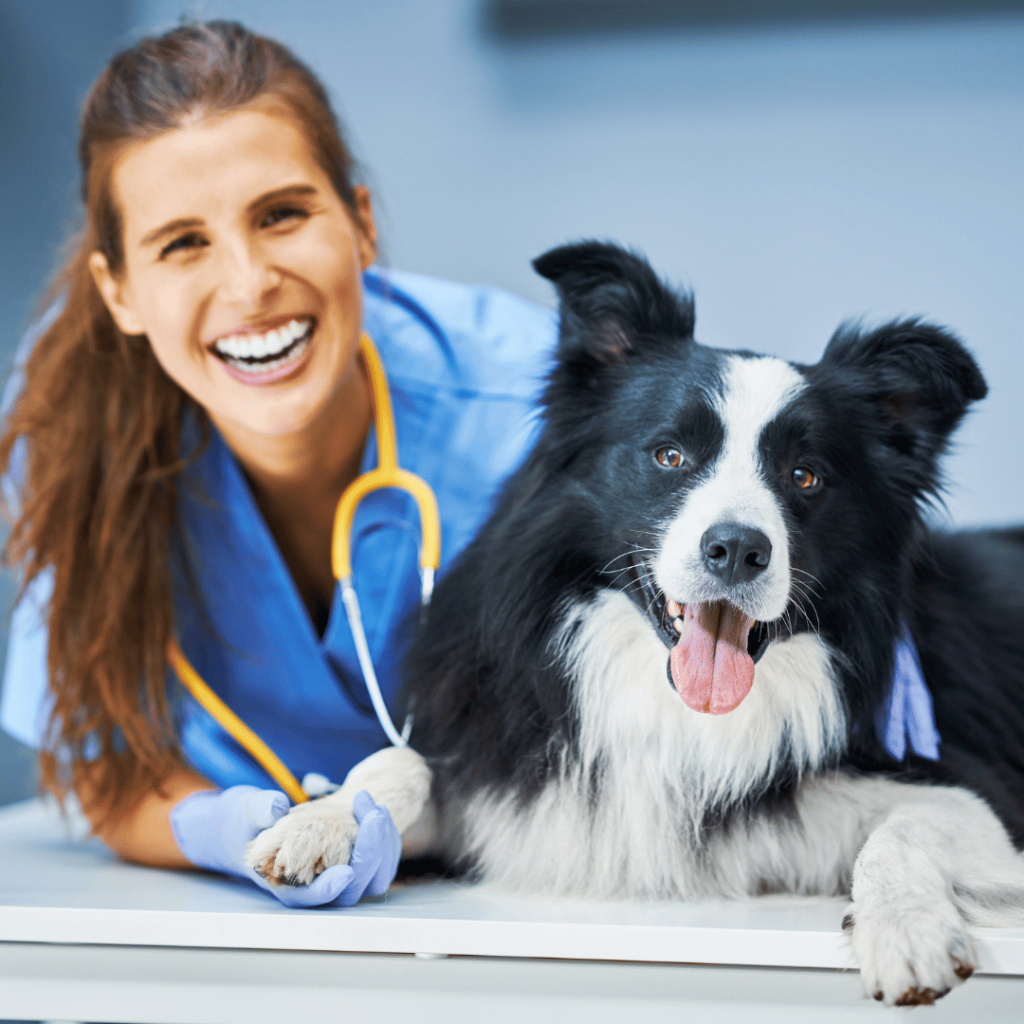 dyrlæge der smiler stort og det gør også hunden